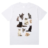 Cat Print Aesthetic T-Shirt