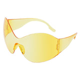 Big Ideas Oversized Sunglasses